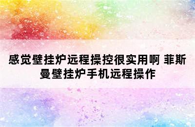 感觉壁挂炉远程操控很实用啊 菲斯曼壁挂炉手机远程操作